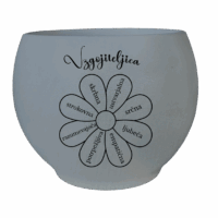 Lonec za rožo - VZGOJITELJICA